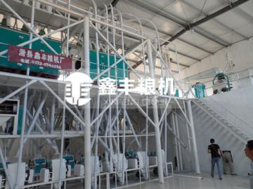 晋城60吨面粉机械安装案例